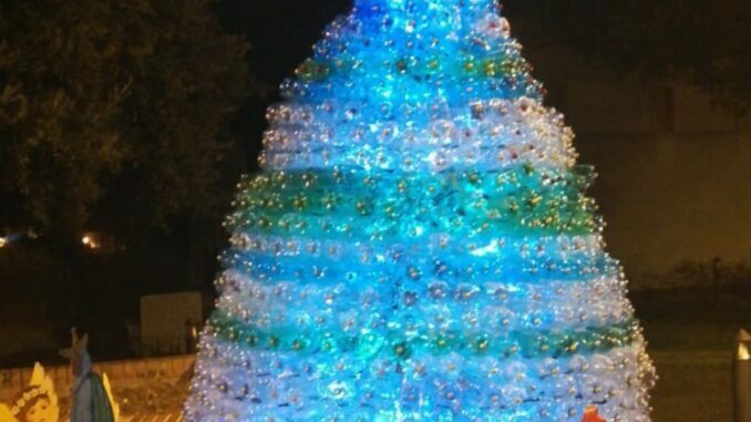 Albero di Natale con bottiglie di plastica - Oliveto Lucano