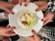 caritas cena solidale locanda fratenita tricase 1 radiolaser news matera potenza puglia basilicata