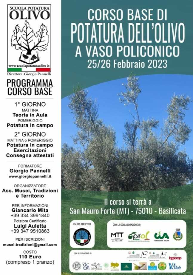 A San Mauro corso di potatura dell’olivo