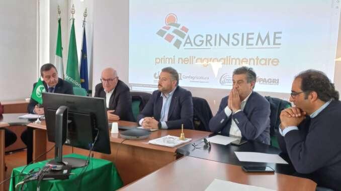 agrinsieme 1