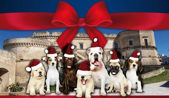 bau christmas massafra 2022