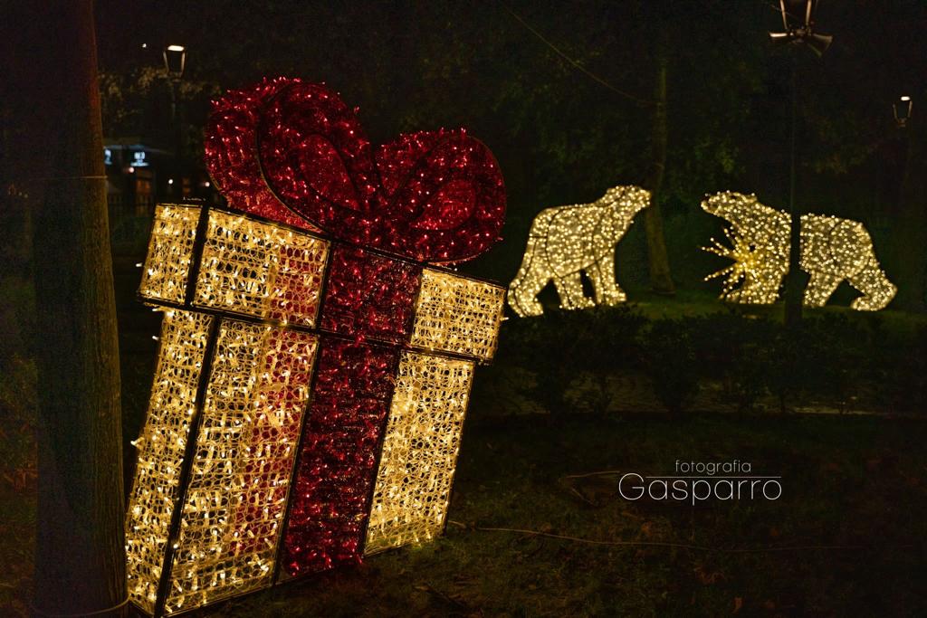 Martina Franca: Lumière, un giardino di luci per riscaldare i cuori in questo Natale 2022.