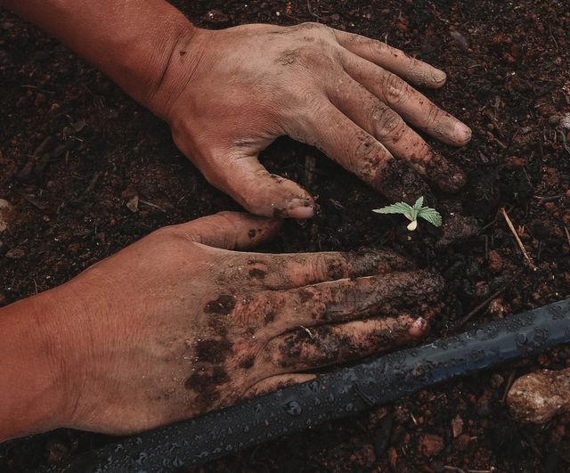 agroalimentare: al via un progetto destinato ai giovani lucani 1 rjs articolo radio laser news matera potenza puglia basilicata