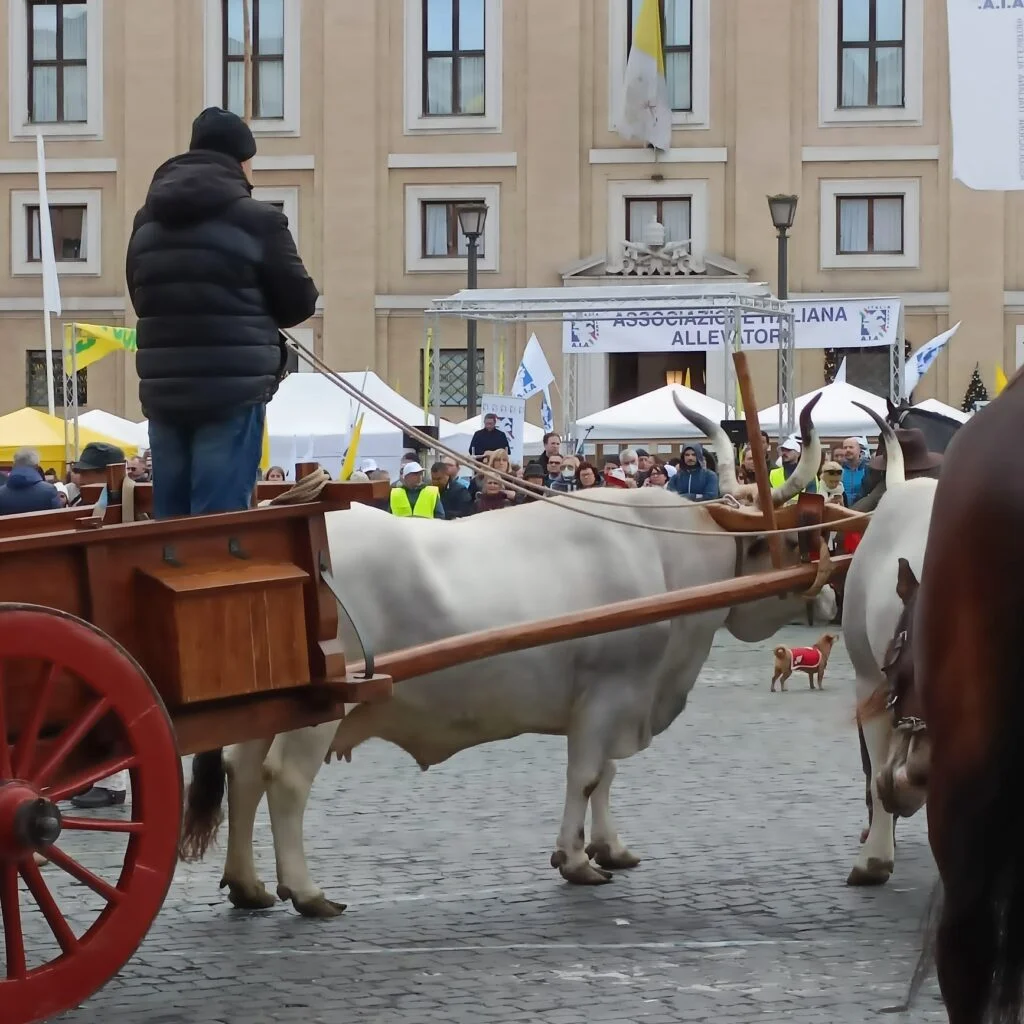 A ROMA ALLEVATORI LUCANI PER LA BENEDIZIONE DEGLI ANIMALI IN PIAZZA SAN PIETRO