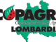 image001 radio laser news matera potenza puglia basilicata