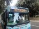 stadio in bus radiolaser news matera potenza puglia basilicata