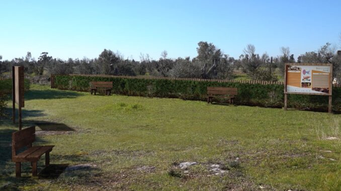 bioparco progetto 2