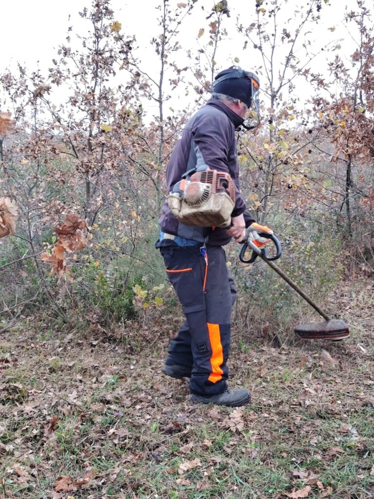foto 4 radiolaser news matera potenza puglia basilicata