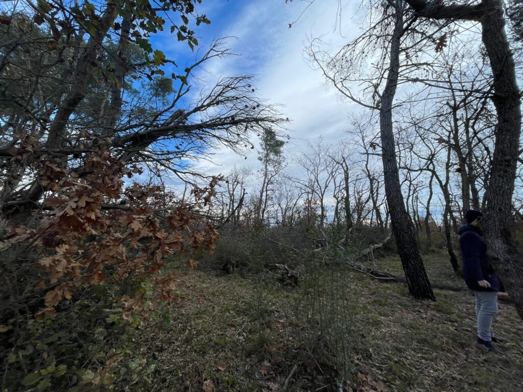 foto 6 radiolaser news matera potenza puglia basilicata