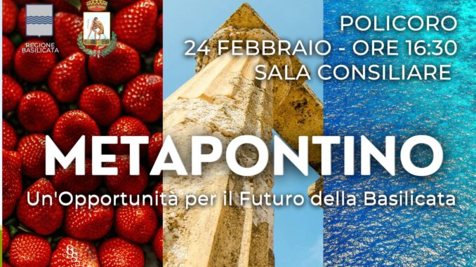 metapontino