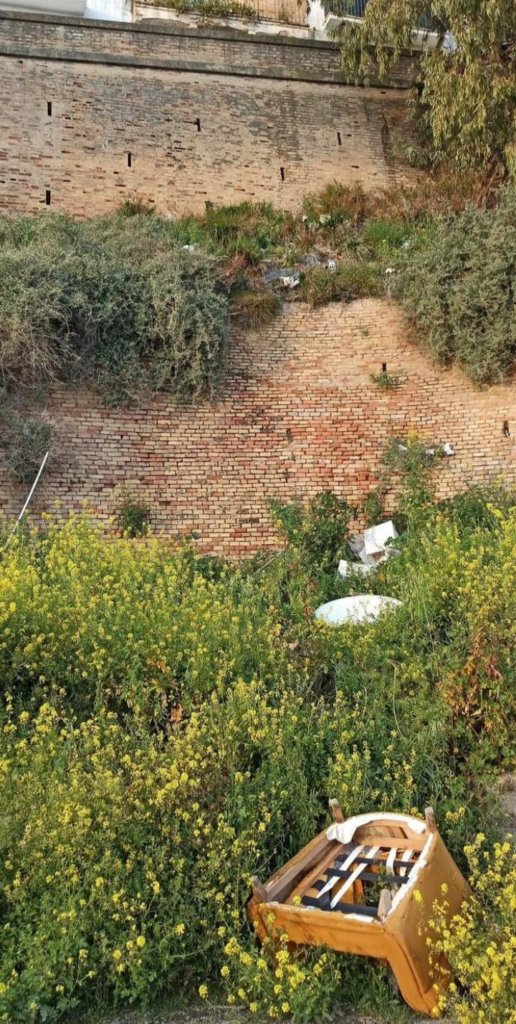urgente richiesta interventi. lettera aperta "abbandono rifiuti comune di pisticci" 1 620add16 0675 453c 9bf1 56bb997b5f53 1 radio laser news matera potenza puglia basilicata