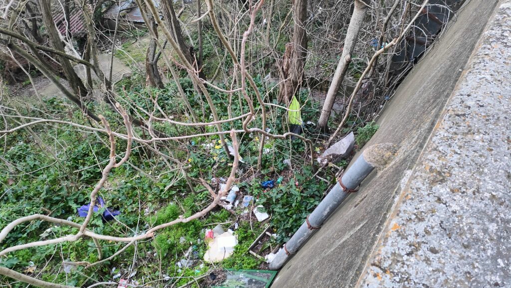 urgente richiesta interventi. lettera aperta "abbandono rifiuti comune di pisticci" 6 img20230311174533 radio laser news matera potenza puglia basilicata