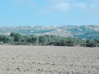 coldiretti dice no all'aumento sconsiderato dei canoni di affitto dei terreni a montescaglioso 61 agricoltura radio laser news matera potenza puglia basilicata