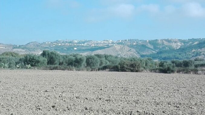 agricoltura
