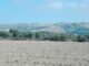 agricoltura radiolaser news matera potenza puglia basilicata