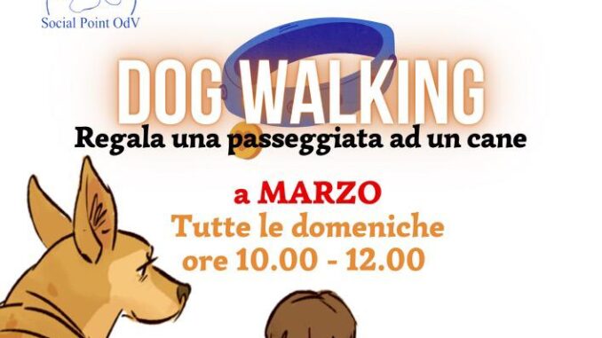 dog-walking-canile-comunale-martina-1