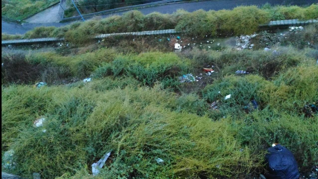 urgente richiesta interventi. lettera aperta "abbandono rifiuti comune di pisticci" 2 download radio laser news matera potenza puglia basilicata