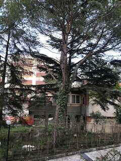 foto 1 via lazazzera rotated radio laser news matera potenza puglia basilicata