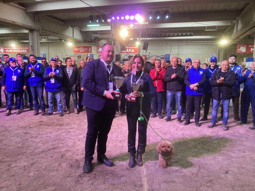importanti premi per gli allevatori lucani a campanialleva expo 2023 4 whatsapp image 2023 04 17 at 10.38.58 radiolaser news matera potenza puglia basilicata