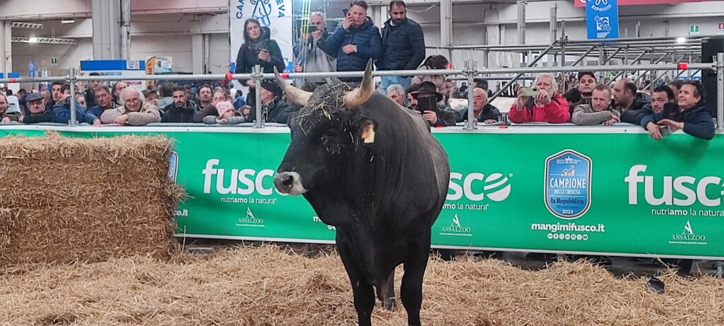 importanti premi per gli allevatori lucani a campanialleva expo 2023 8 whatsapp image 2023 04 20 at 21.56.49 2 radiolaser news matera potenza puglia basilicata