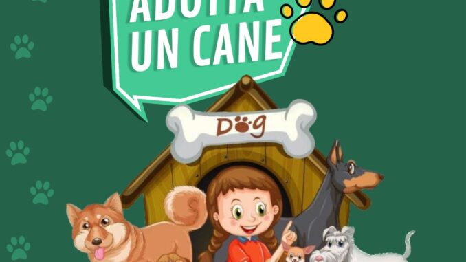 adotta un cane 16 aprile 2023