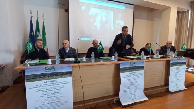 conv. allevatori