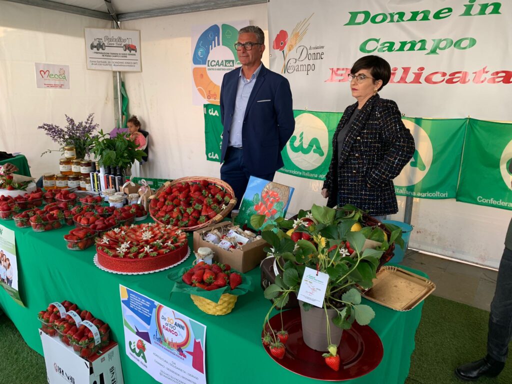 La Cia a Sagra Fragola Scanzano fragola