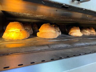 il consiglio comunale proclama “matera città del pane” 41 img 20230530 wa0004 radio laser news matera potenza puglia basilicata