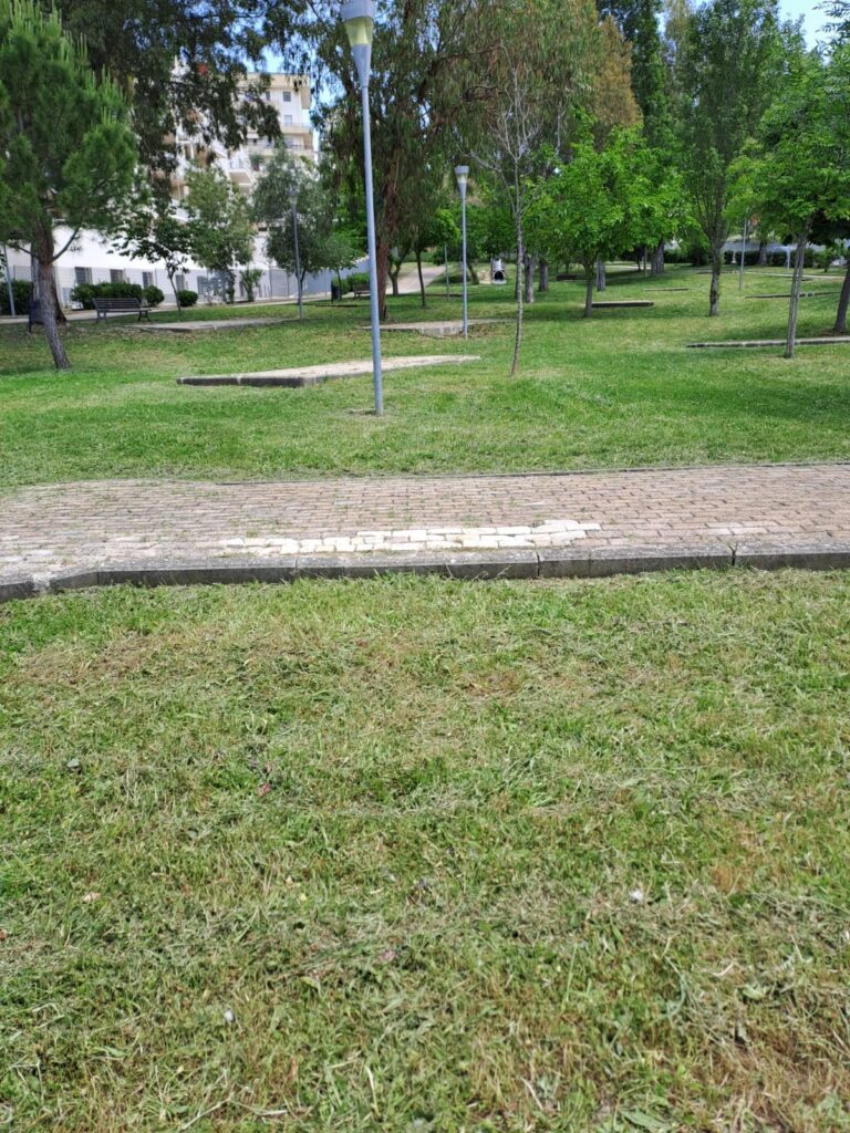 Parte "Il Punto sul verde", campagna informativa del comune sulla manutenzione delle aree verdi campagna