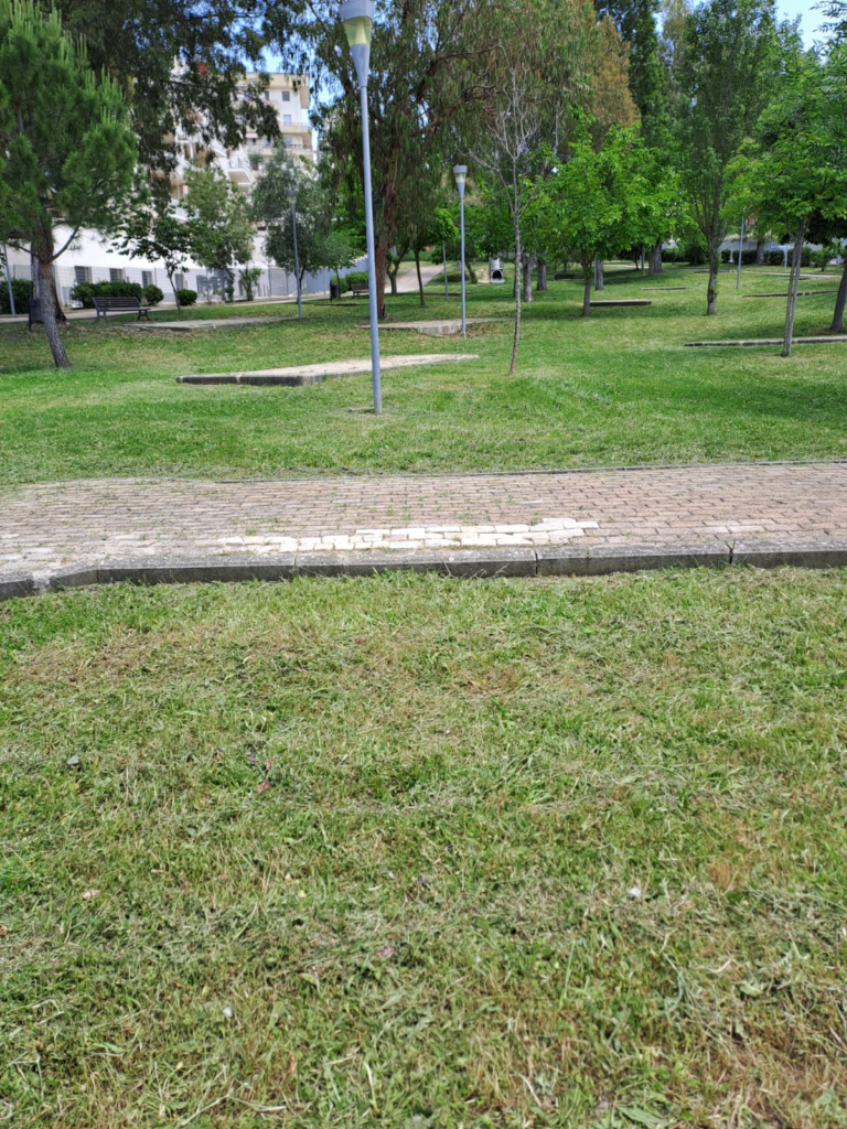 Parte "Il Punto sul verde", campagna informativa del comune sulla manutenzione delle aree verdi campagna
