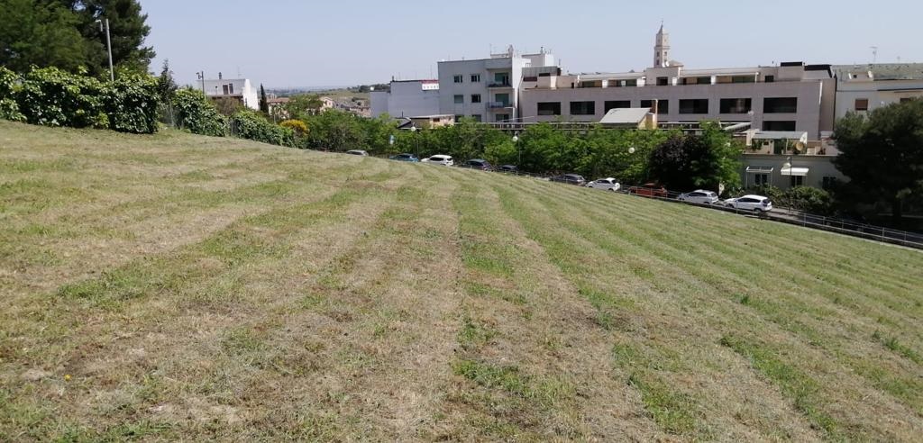 Parte "Il Punto sul verde", campagna informativa del comune sulla manutenzione delle aree verdi campagna