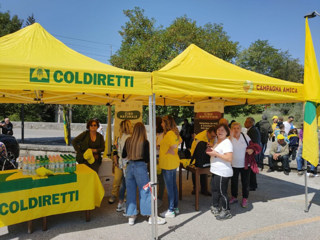 GRANDE PARTECIPAZIONE ALLA FESTA DELLA TRANSUMANZA A PICERNO transumanza