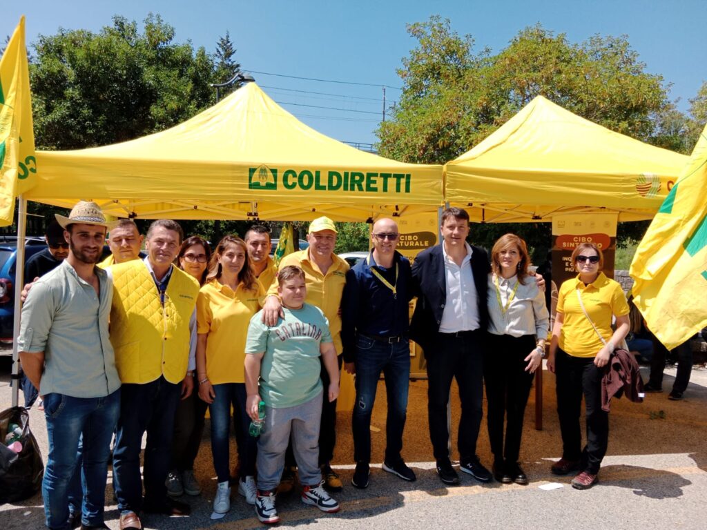 GRANDE PARTECIPAZIONE ALLA FESTA DELLA TRANSUMANZA A PICERNO transumanza