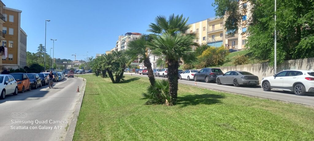 Parte "Il Punto sul verde", campagna informativa del comune sulla manutenzione delle aree verdi campagna
