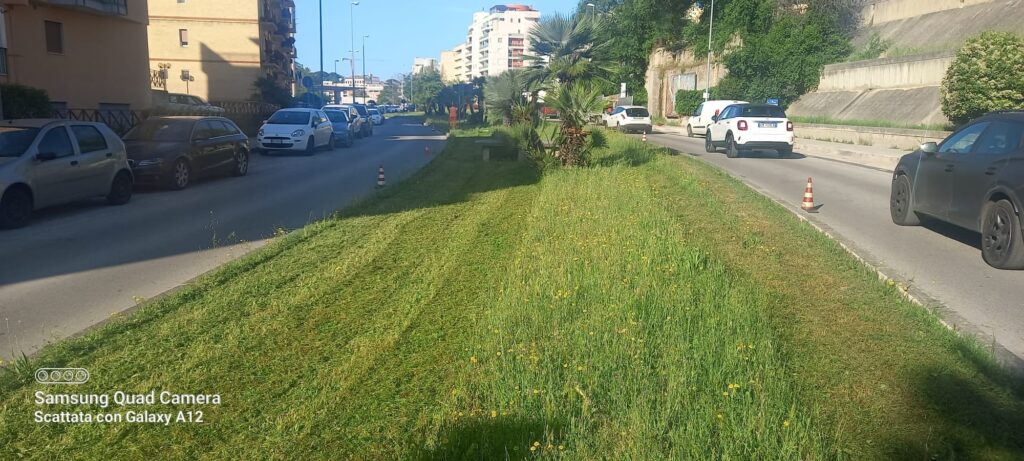 Parte "Il Punto sul verde", campagna informativa del comune sulla manutenzione delle aree verdi campagna