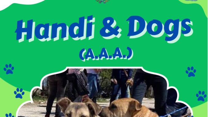 canile Handi and Dogs