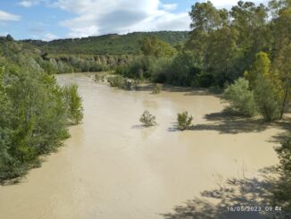 pisticci, vicesindaco florio chiede verifiche e ristori per i danni maltempo 11 fiume pisticci maggio2023 radiolaser news matera potenza puglia basilicata