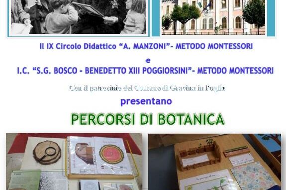 montessori-1