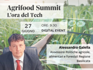 L’Export in tempi di guerra, domani confronto Galella-Prandini- De Castro