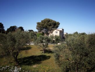 rinviate per lutto le prime due serate (15/16 giugno) di finibus theater alla fondazione le costantine a uggiano la chiesa (le) 39 fondazione le costantine radio laser news matera potenza puglia basilicata