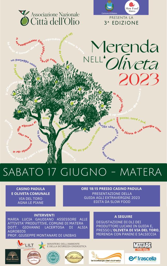 Merenda nell'oliveta, domani evento del Comune con le Città dell'olio citta