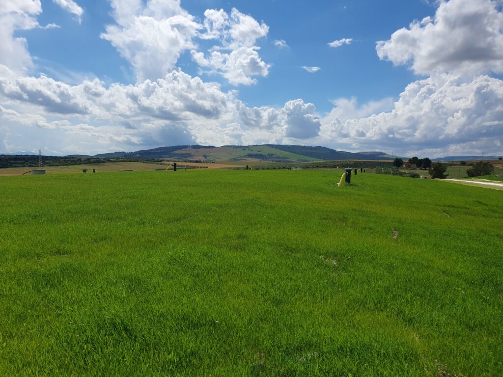 latronico: discarica la martella fuori dalla procedura di infrazione ue 2 whatsapp image 2023 06 27 at 17.27.53 1 radio laser news matera potenza puglia basilicata