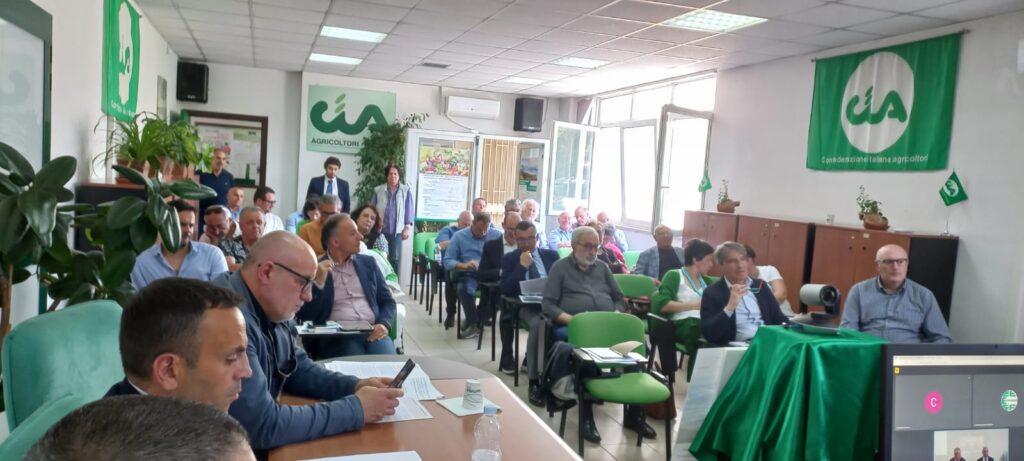 Autonomia differenziata: nasce il fronte del “no” delle piccole e medie imprese lucane imprese