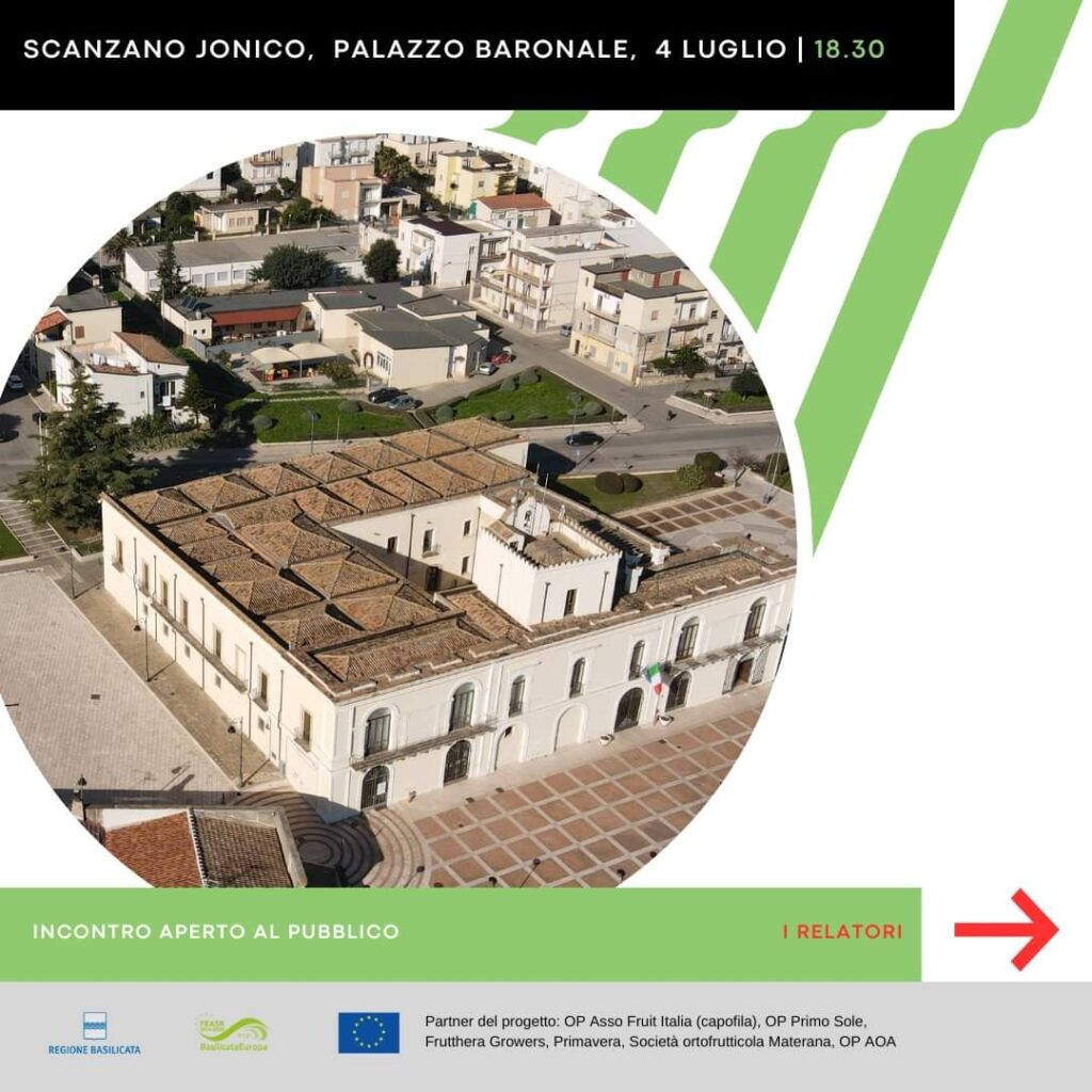 Pifo Basilicata: “La competitività dell’ortofrutta: aggregazione, innovazione e sostenibilità”. Pifo Basilicata