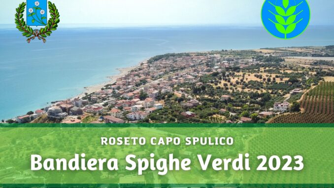 Roseto capo spulico spighe verdi 2023