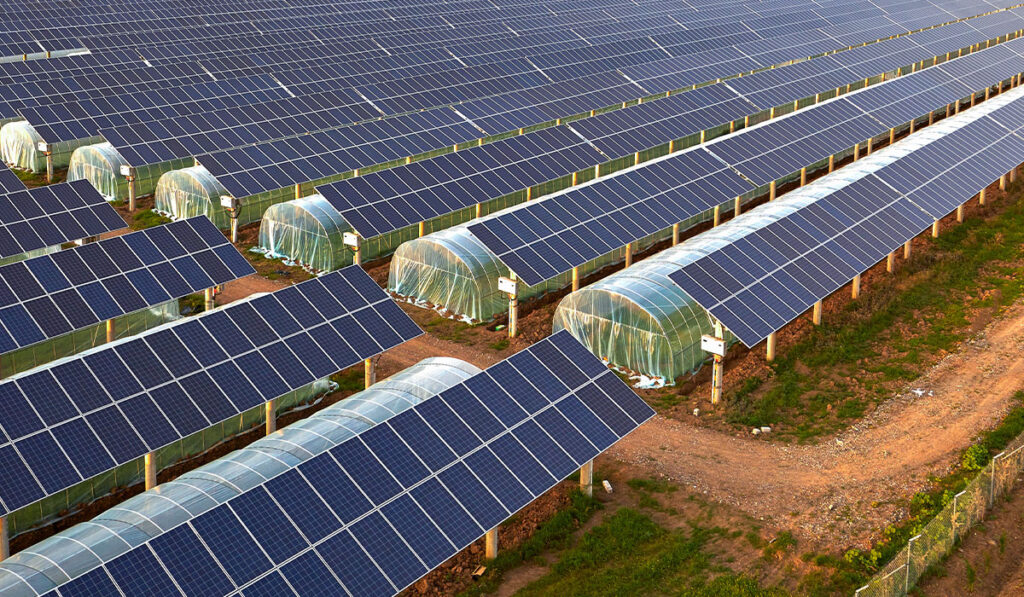 Gruppo Cestari, la “nuova frontiera” è l’agrivoltaico cestari