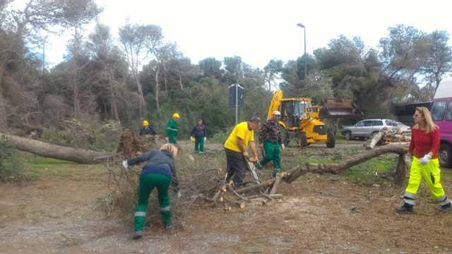 forestazione in Basilicata