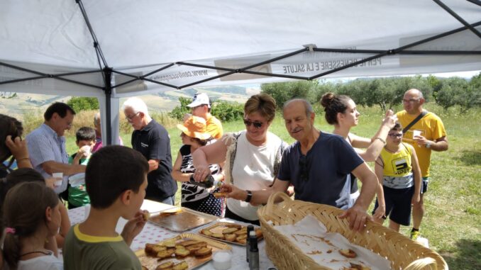 merenda oliveta