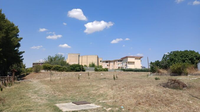 Matera nord sfalcio 2
