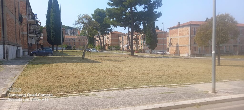 "Il punto sul verde 5", lunedì inizia lo sfalcio nelle aree degli edifici scolastici edifici